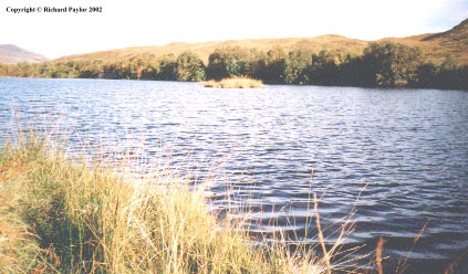 Loch a' Chuilinn